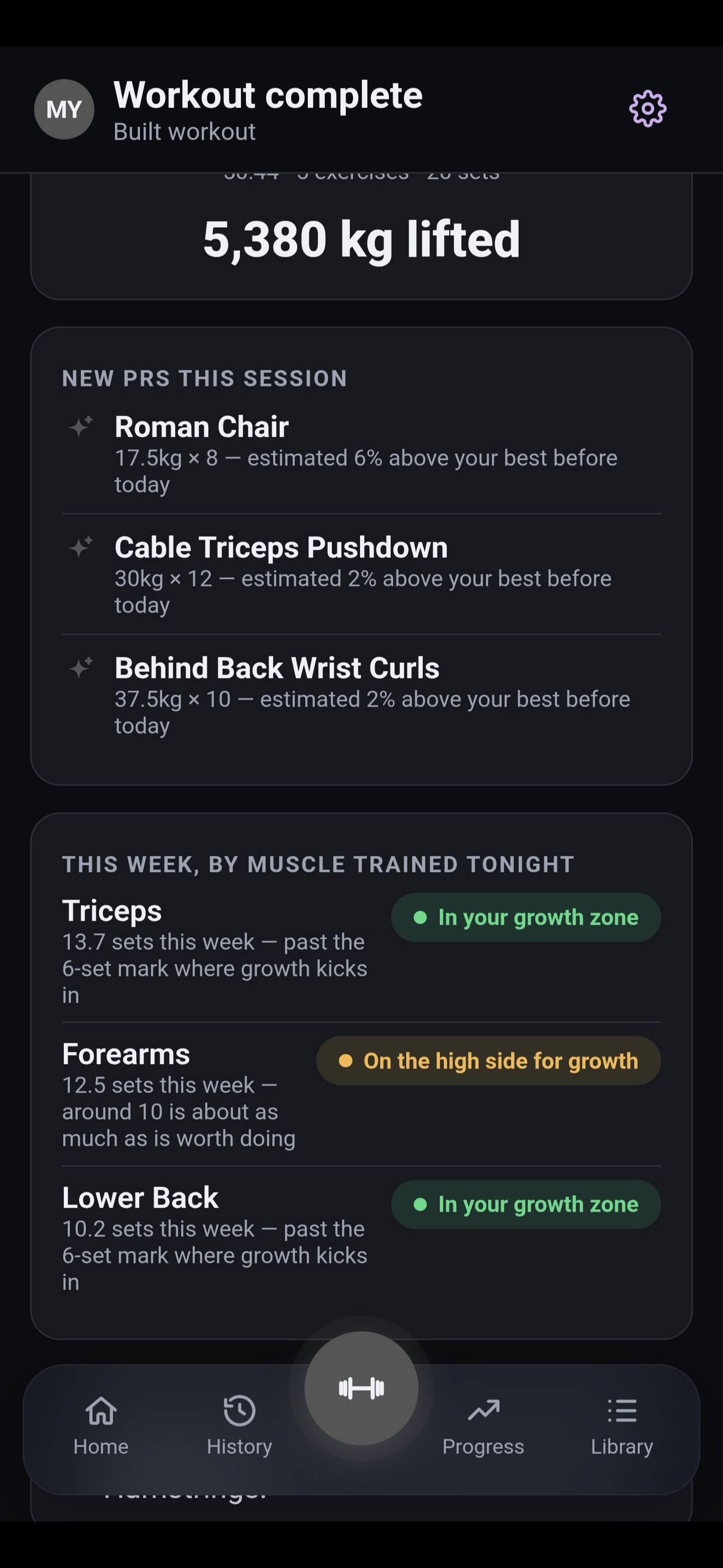 Workout complete screen — 5,380 kg lifted across 5 exercises and 20 sets, three new PRs this session including Roman Chair and Cable Triceps Pushdown, and this week's set counts by muscle trained tonight: Triceps and Lower Back in the growth zone, Forearms on the high side